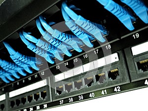 Network cables connected in network switches