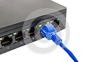 The blue network cables to connect Lan port