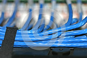 Blue Network Connecting Cabling