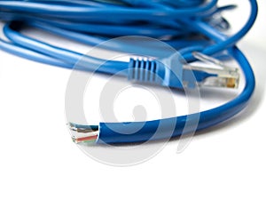 Blue network LAN cable