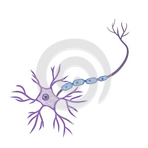 Blue neuron cell. Brain activity and dendrites. Scientific cartoon illustration. Membrane and the nucleus photo