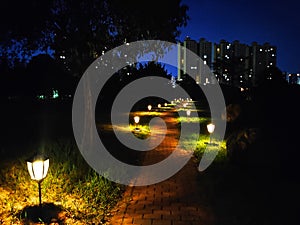 In the blue night sky, the warm lights of the ground shone, and the road stretched out to the three buildings in the distance.