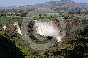 The Blue Nile Falls at the Tana Lake in Ethiopia