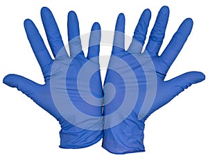 Blue nitrile examination gloves, heels of hands together, fingers splayed and cupped, palms up