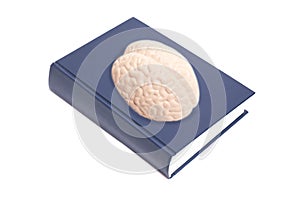 Blue notebook with human brain anatomical model isolated on white background
