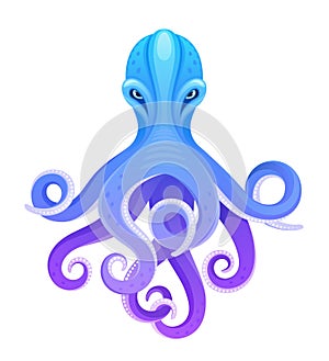 Blue octopus photo