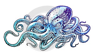 Blue Octopus Vector Art
