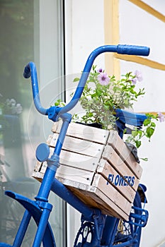 Blue old bicycle with flowers box