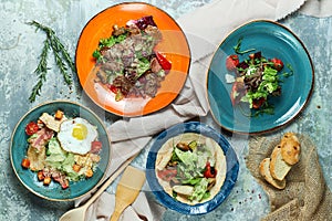 Multi-colored plates with different salads. Beautiful serving of dishes. Light gray background. Restaurant menu