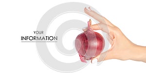 Blue onion salad in hand pattern