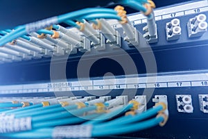Blue optical network cables