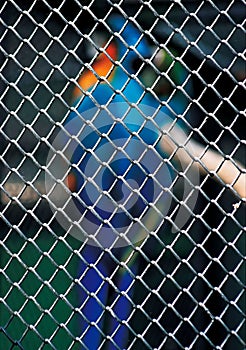 Blue and orange bird perched atop a chain-link fence in a rectangular batting cage.