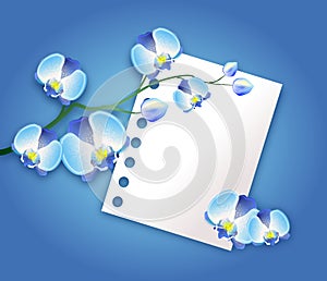 Blue orchid background