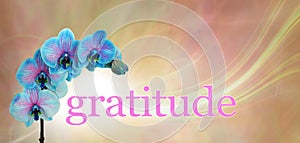 Blue Orchid Floral Gratitude Message Banner photo