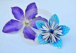 Blue origami flower and real clematis flower.