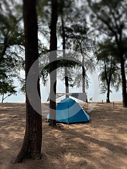 Blue outdoor tent under pine tree .