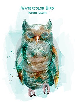 Blue owl colorful Vector watercolor. Exotic bird isolated on whites