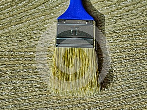 Blue paint brush on the wooden floor