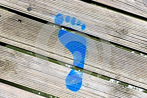 Blue Painted Footprint