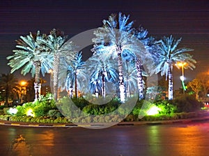 Blue palms and green bushes announcing Riyadh season