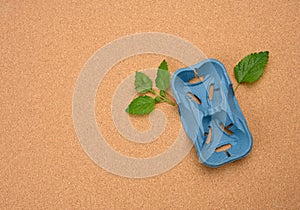 Blue paper holder for two recycled cups and green mint leaves on a brown background