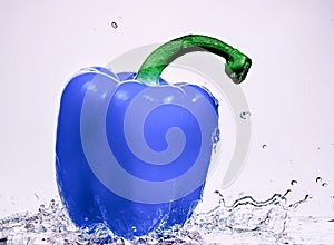 Blue paprika with green ponytail on a white background, surrounded by water splashes