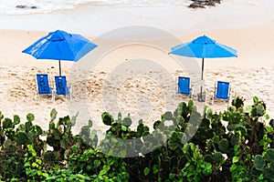 Blue parasol on the sand of Paciencia beach in the Rio Vermelho photo