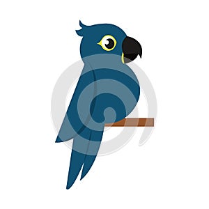 Blue parrot on branch sideview. Vector