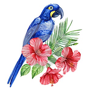 Blue parrot. Tropical watercolor bird, flowers and palm leaves. exotic bird and flora isolated on white background