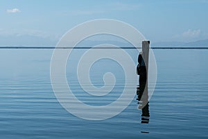 Blue pastel color tonalities seascape