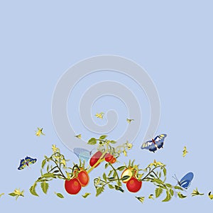 Blue pattern with tomatoe and plant.