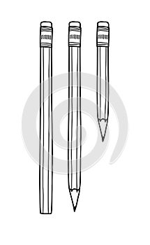 Blue pencil hand drawn line art illustration