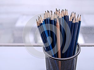 Blue pencils and one different brown sharp pencil standing out in pencil case. Leadership growth in business and different culture