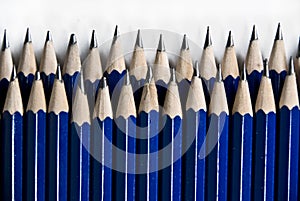 Blue Pencils In Row