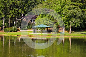 A blue pergola near vast silky green lake water surrounded by lush green trees and grass with mallard ducks