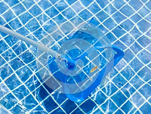 The blue picker and leaves on pool surface for cleaning and main