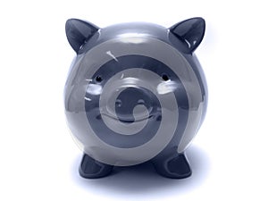 Blue Piggy photo