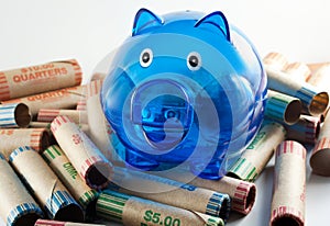 Blue Piggy Bank With Coin Wrappers