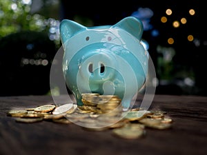 Blue piggy bank with .gold coins pile, Saving money for future investment plan and retirement fund concept