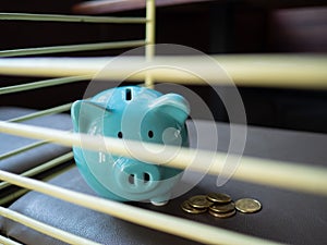Blue piggy bank, idea for saving money for future
