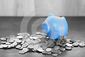 Blue piggy bank on top of coins money for money flow concept and gray background