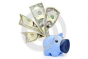 Blue piggy bank and US dollars