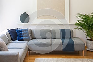 Blue pillows on grey corner couch in living room interior with p