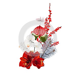 Blue pine branch, berries and orchid amarilis flower composition. Fir tree branch. photo