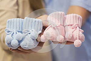 Blue and pink booties in hands of future or prospective parents