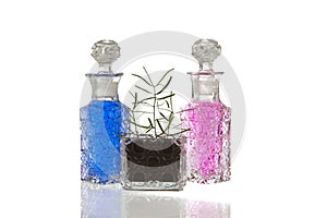 Blue pink glass bottles plant