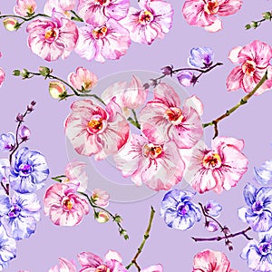 Blue and pink orchid flowers on light lilac background. Seamless floral pattern. Watercolor painting. Hand drawn illustration