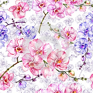 Blue and pink orchid flowers with outlines on white background. Seamless floral pattern. Watercolor painting. photo