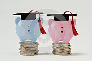 Blue and pink piggy bank with graduation hat on stack of coins - Concept of graduate salaries and gender equality
