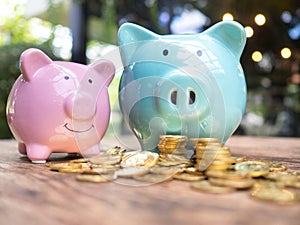 Blue and pink two piggy bank with gold coins pile, Saving money for future investment plan and retirement fund concept